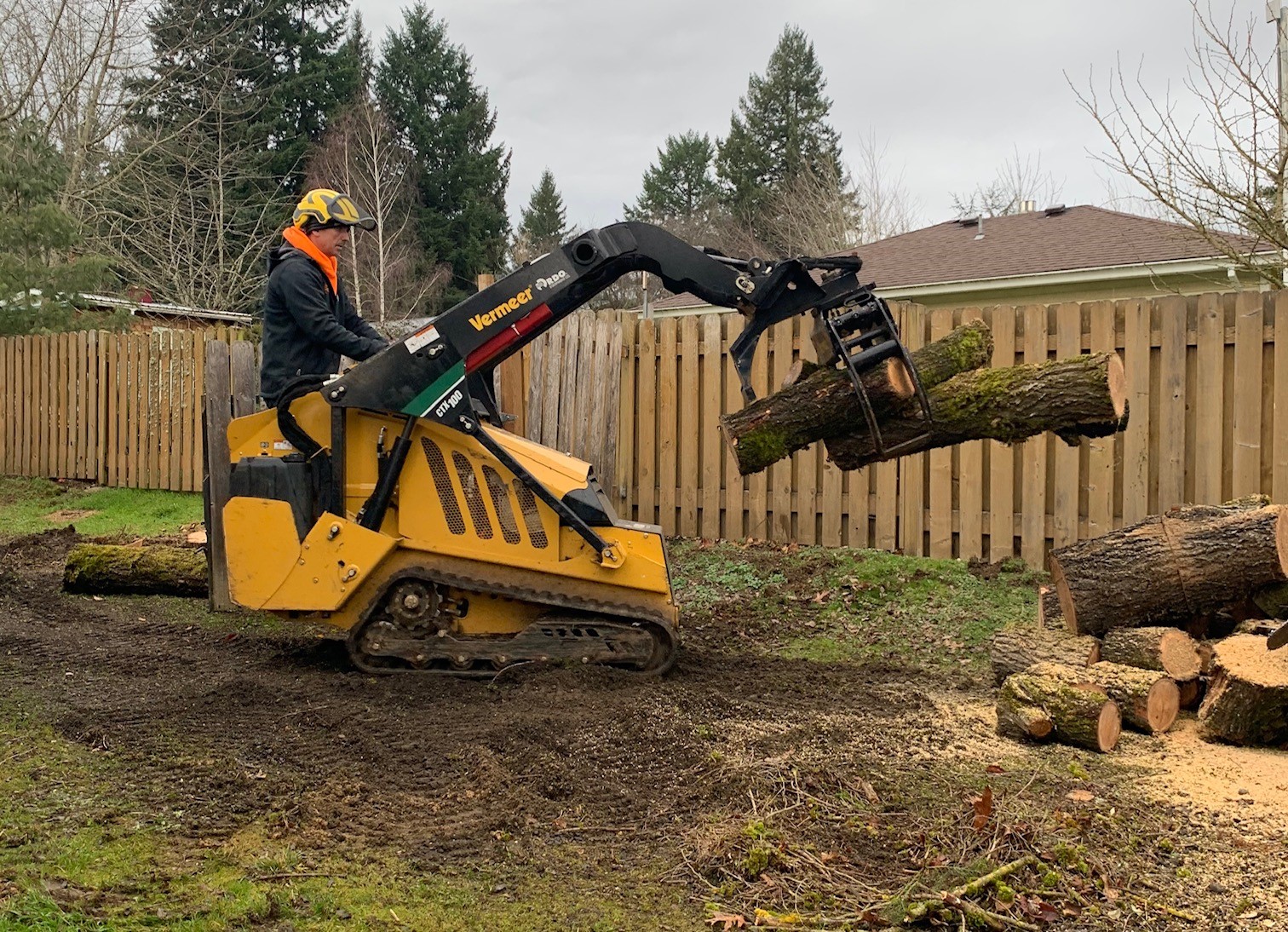 tree stump grinder